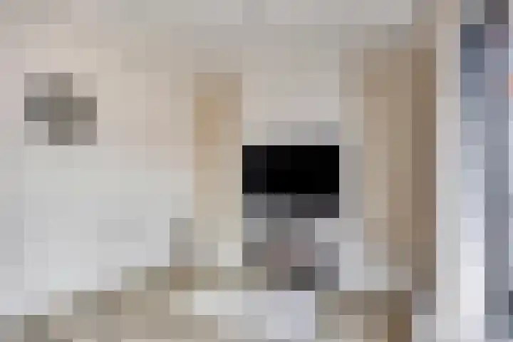 Oude Postweg 3 Spier thumbnail 24