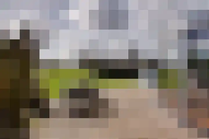 Oude Postweg 3 Spier thumbnail 29