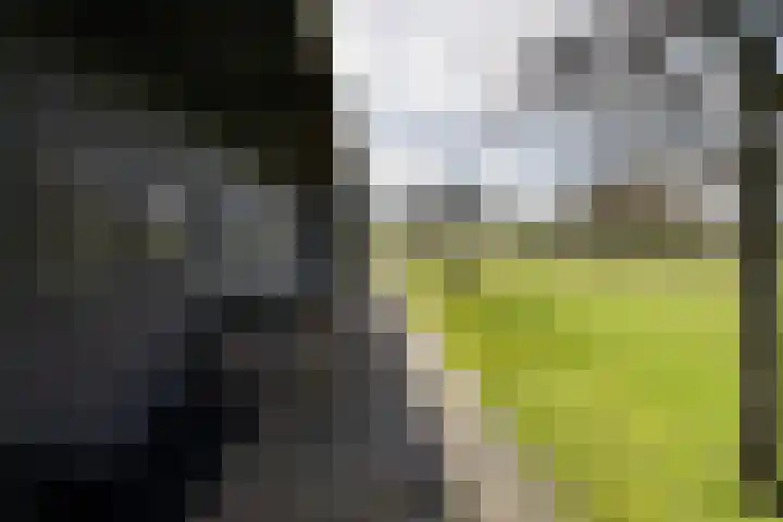 Oude Postweg 3 Spier thumbnail 33