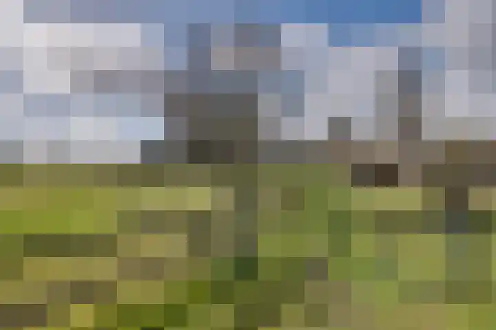 Oude Postweg 3 Spier thumbnail 42
