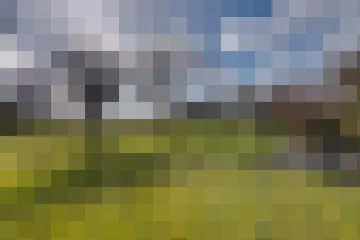Oude Postweg 3 Spier thumbnail 43