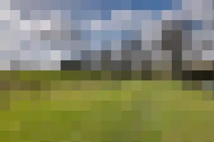 Oude Postweg 3 Spier thumbnail 44
