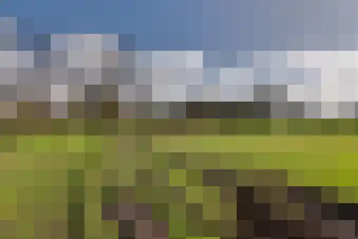 Oude Postweg 3 Spier thumbnail 45