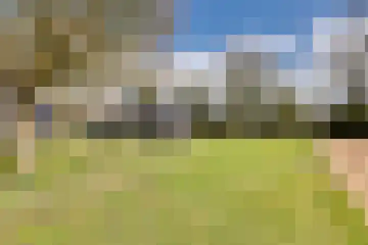 Oude Postweg 3 Spier thumbnail 47