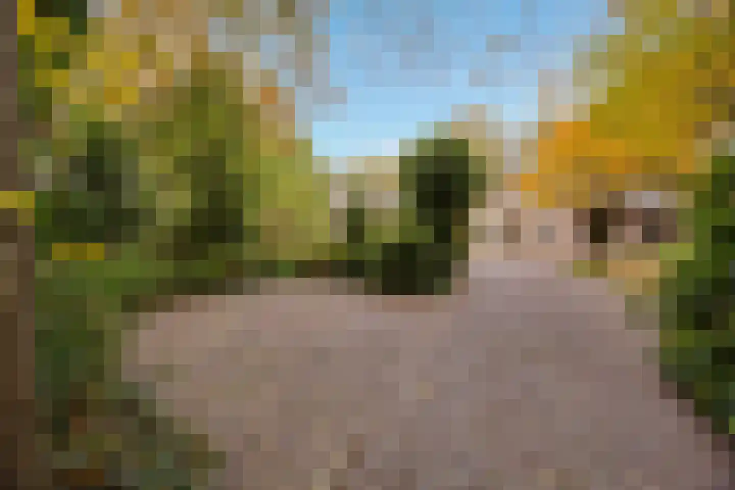 Oude Postweg 31 Ambt Delden thumbnail 11