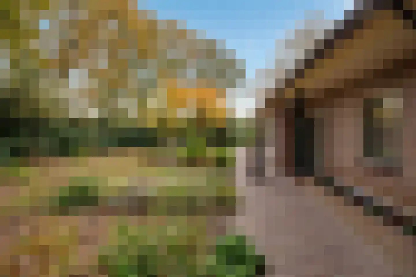 Oude Postweg 31 Ambt Delden thumbnail 13