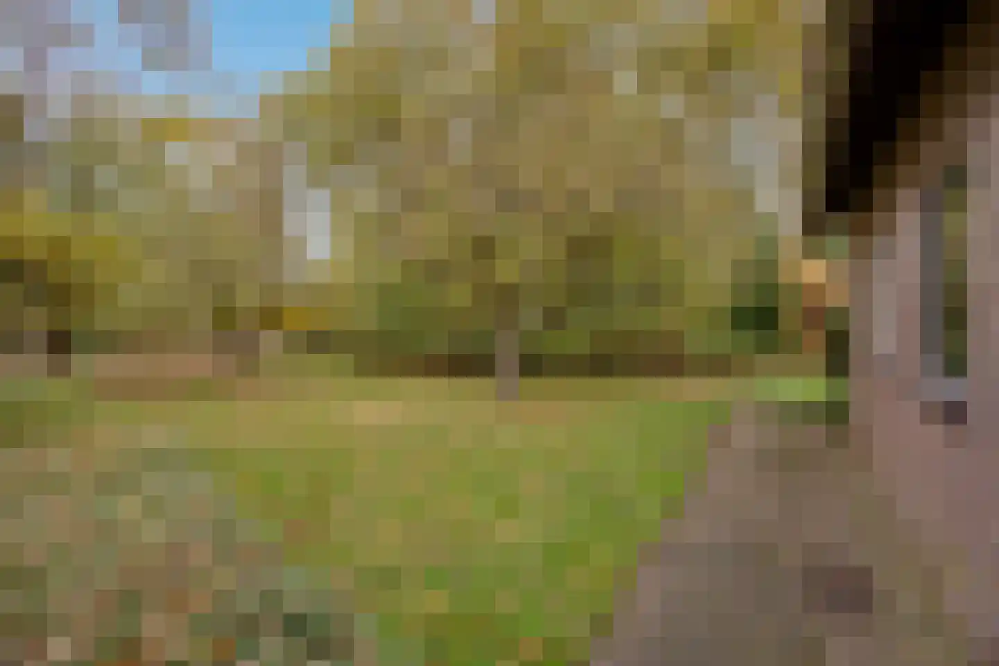 Oude Postweg 31 Ambt Delden thumbnail 15