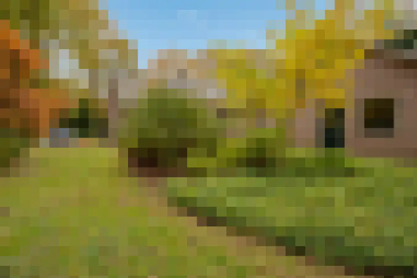 Oude Postweg 31 Ambt Delden thumbnail 17