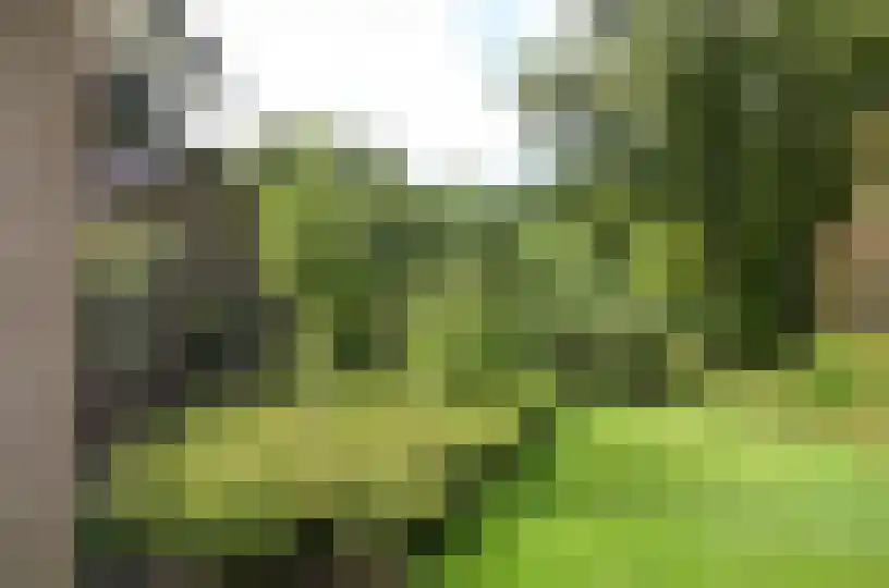 Oude Postweg 31 Ambt Delden thumbnail 18