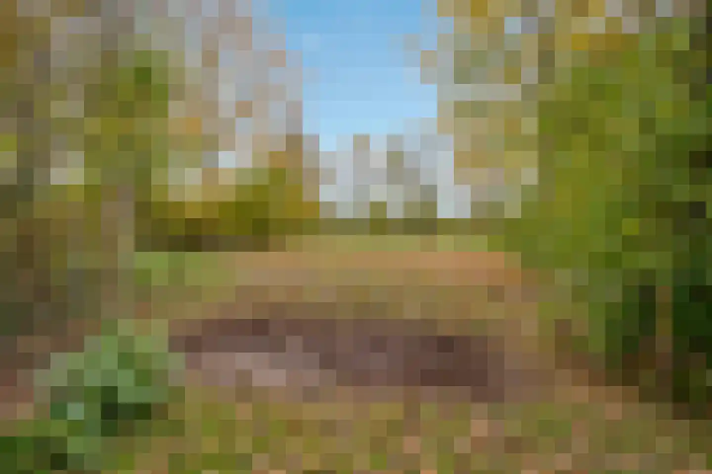 Oude Postweg 31 Ambt Delden thumbnail 20