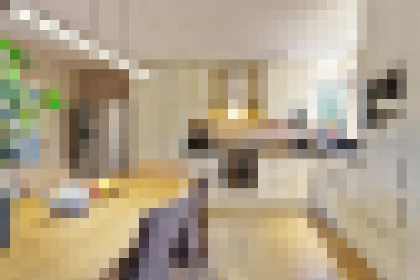 Oude Postweg 31 Ambt Delden thumbnail 26