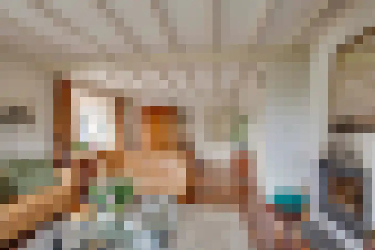 Oude Postweg 31 Ambt Delden thumbnail 34