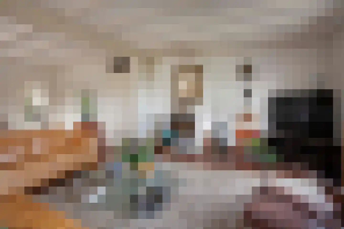 Oude Postweg 31 Ambt Delden thumbnail 35