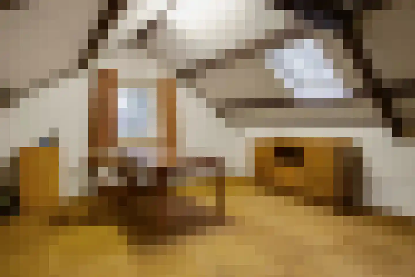 Oude Postweg 31 Ambt Delden thumbnail 47