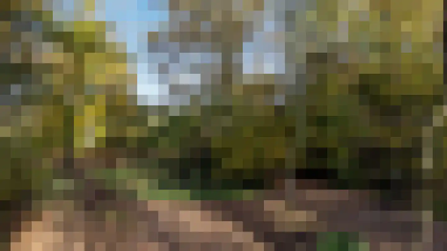 Oude Postweg 31 Ambt Delden thumbnail 59