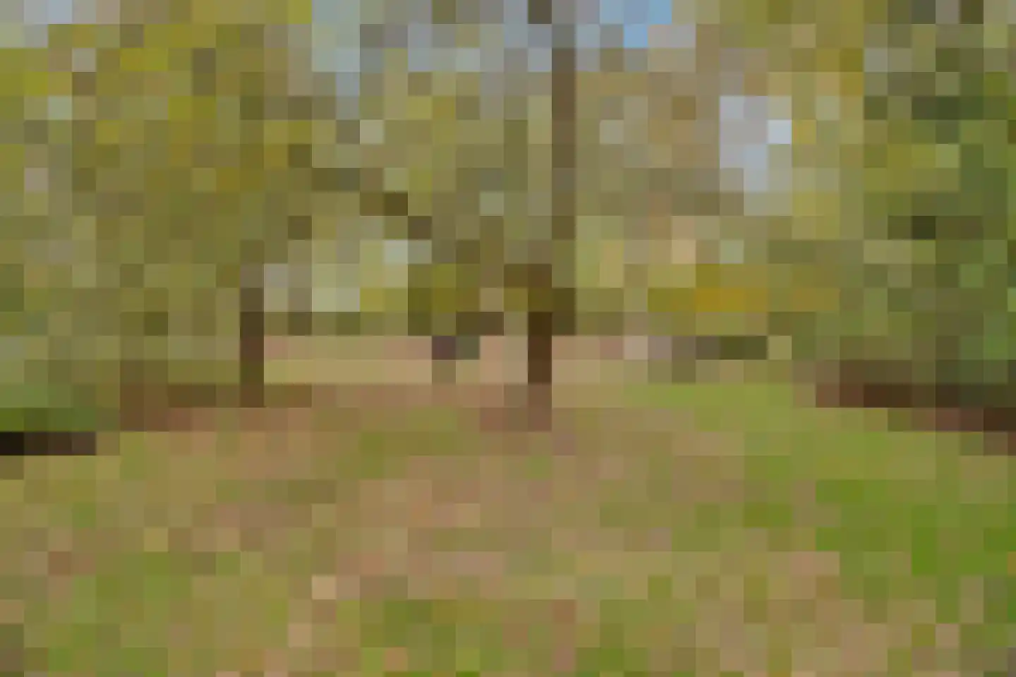 Oude Postweg 31 Ambt Delden thumbnail 61