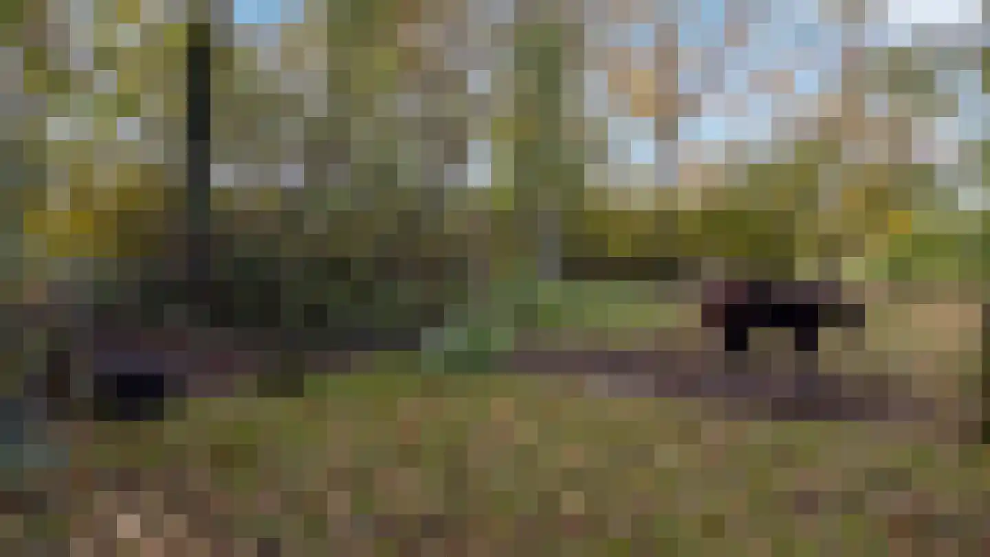 Oude Postweg 31 Ambt Delden thumbnail 63