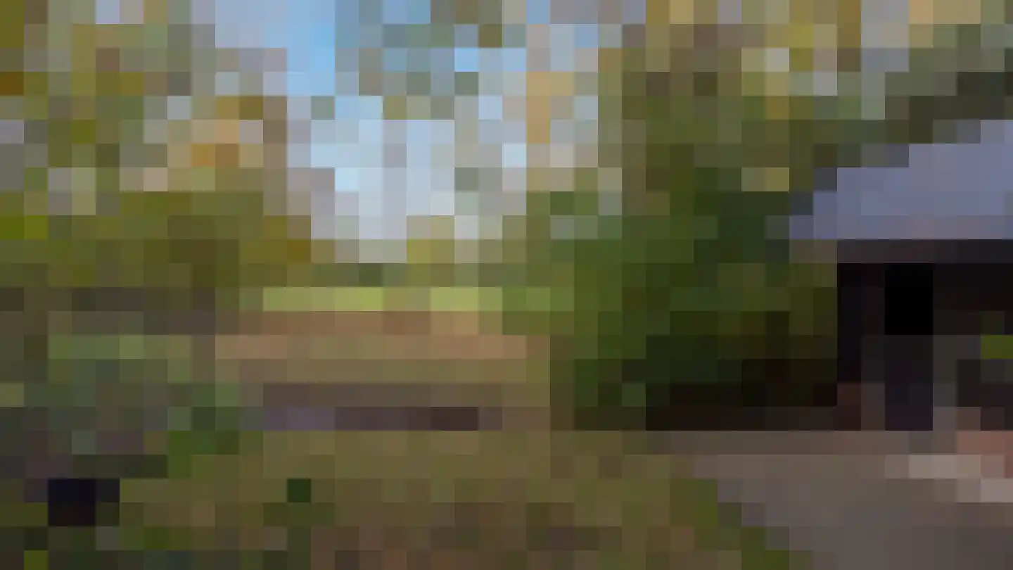 Oude Postweg 31 Ambt Delden thumbnail 64
