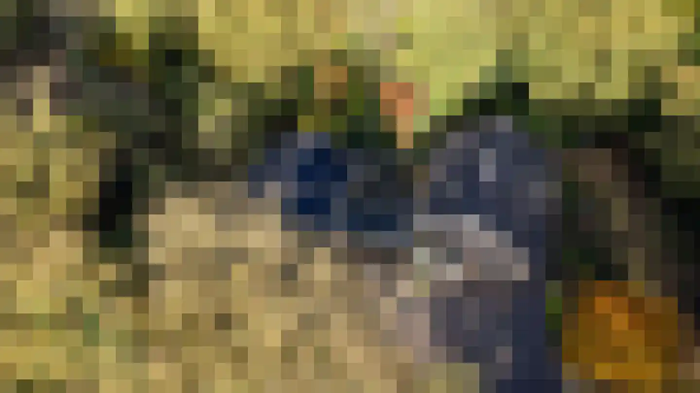 Oude Postweg 31 Ambt Delden thumbnail 65