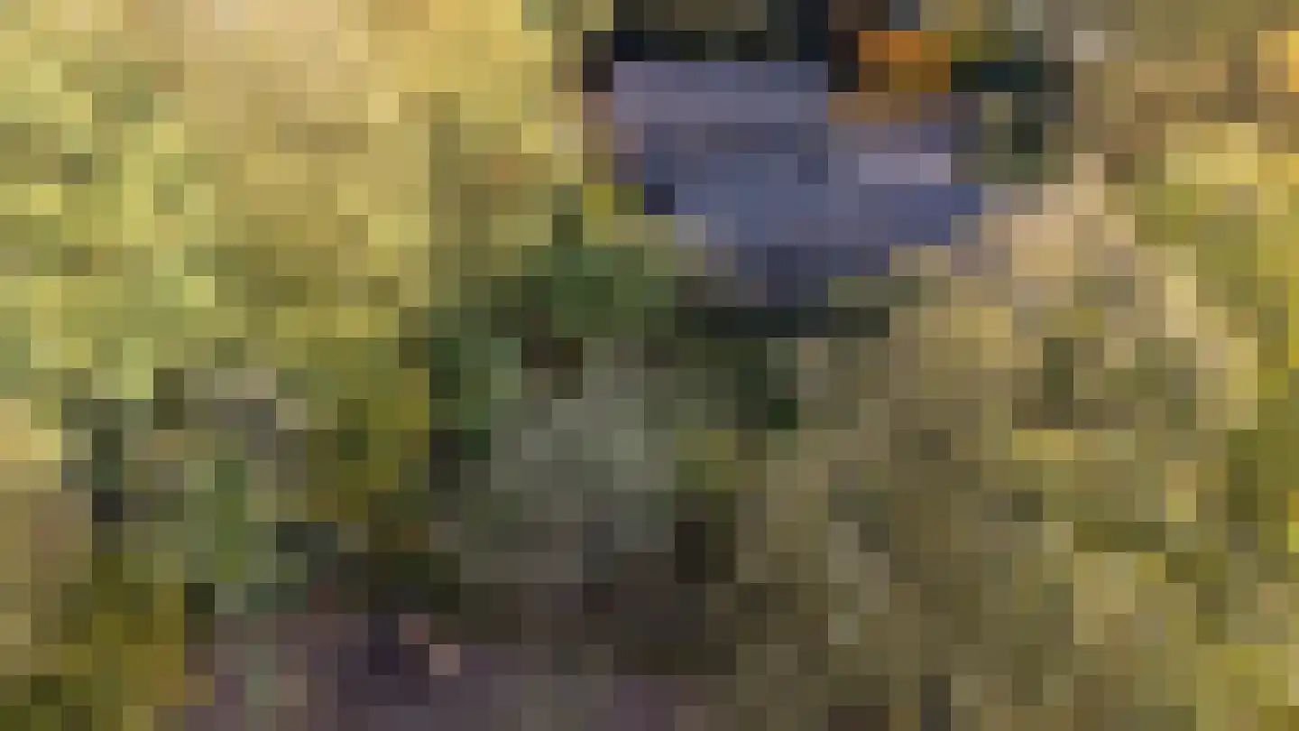 Oude Postweg 31 Ambt Delden thumbnail 66