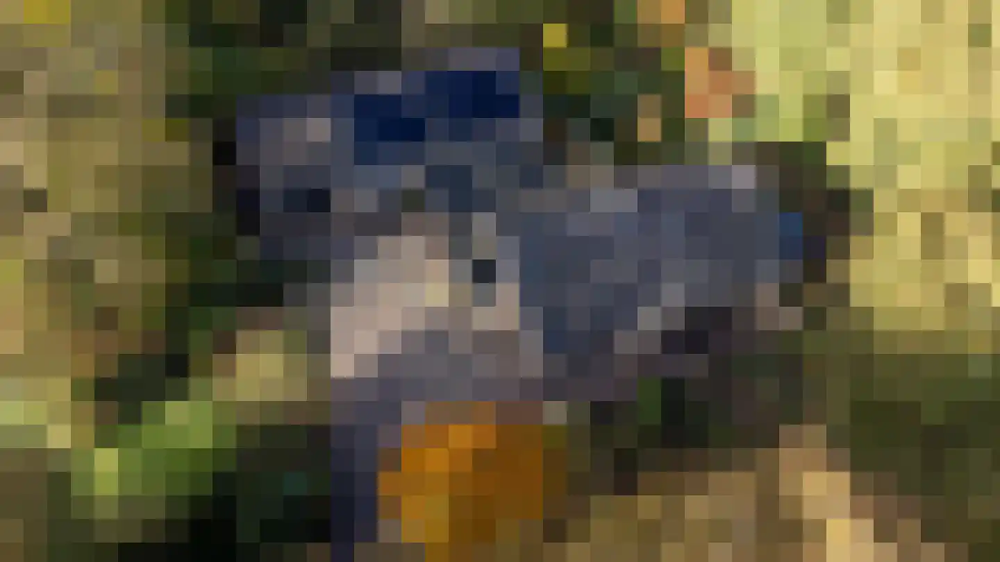 Oude Postweg 31 Ambt Delden thumbnail 67