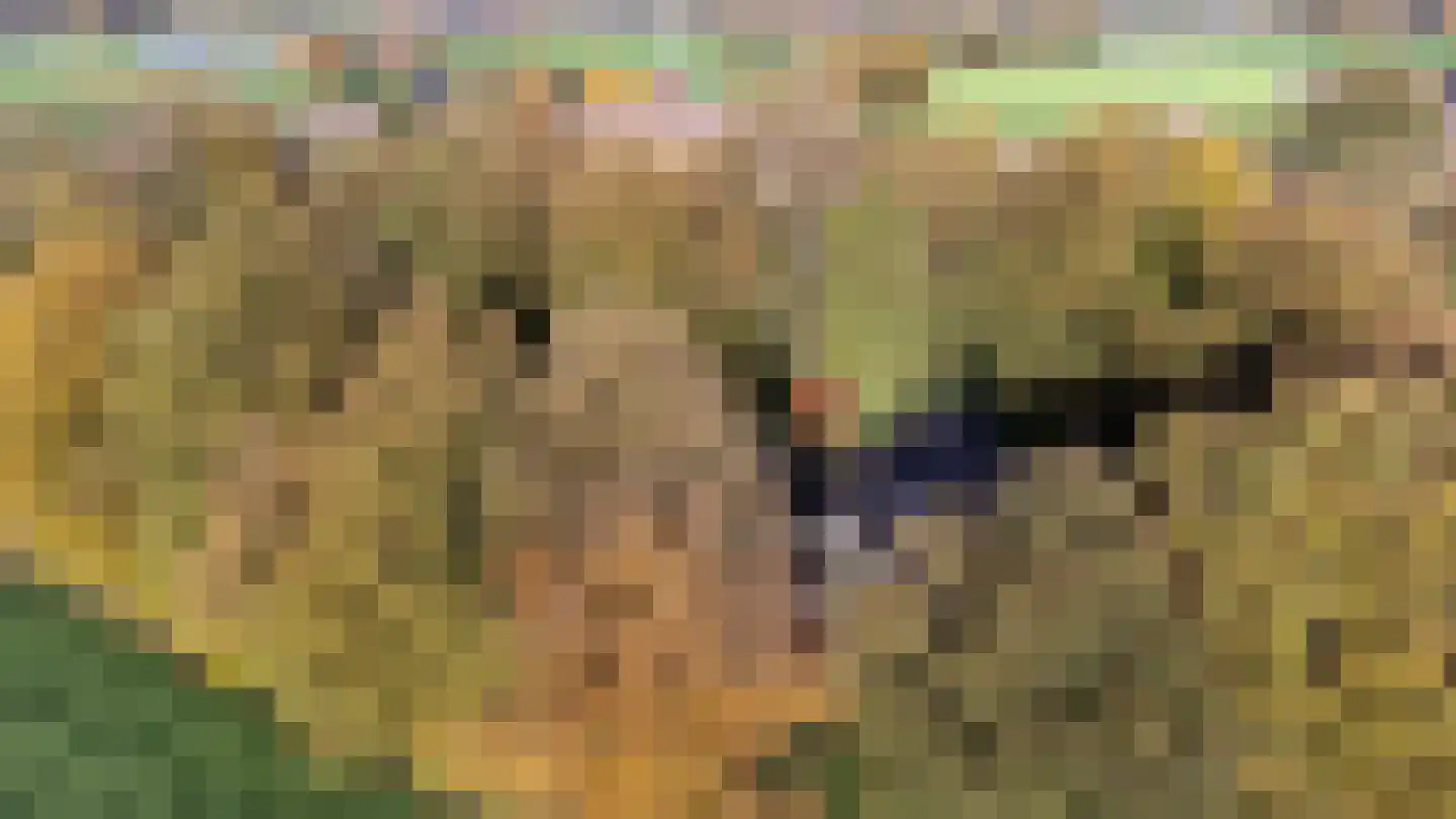 Oude Postweg 31 Ambt Delden thumbnail 68