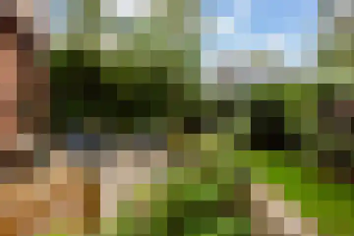 Oude Postweg 8 Austerlitz thumbnail 19