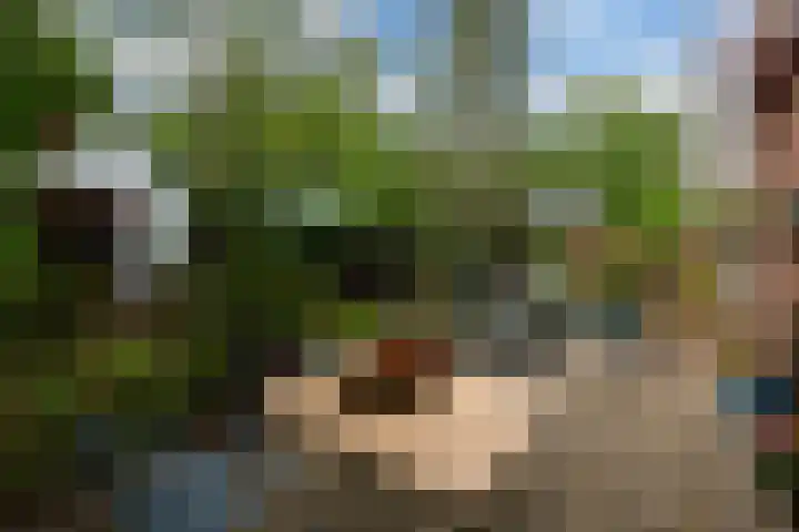 Oude Postweg 8 Austerlitz thumbnail 20