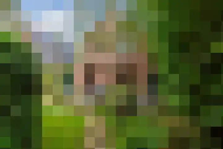 Oude Postweg 8 Austerlitz thumbnail 21
