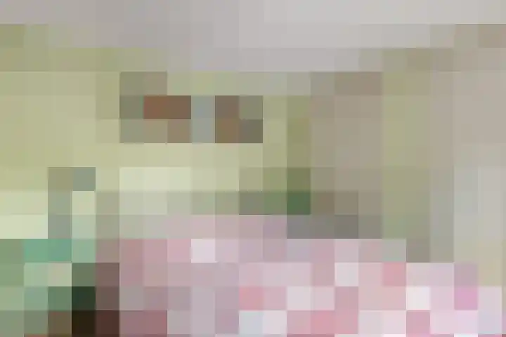 Oude Postweg 8 Austerlitz thumbnail 34