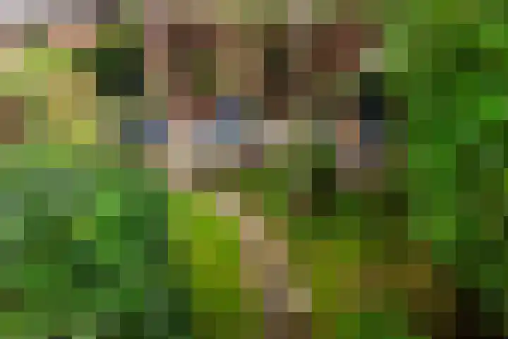 Oude Postweg 8 Austerlitz thumbnail 39