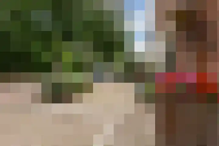 Oude Postweg 8 Austerlitz thumbnail 5