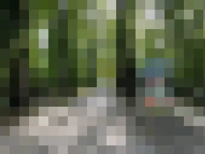 Oude Postweg 8 Austerlitz thumbnail 6