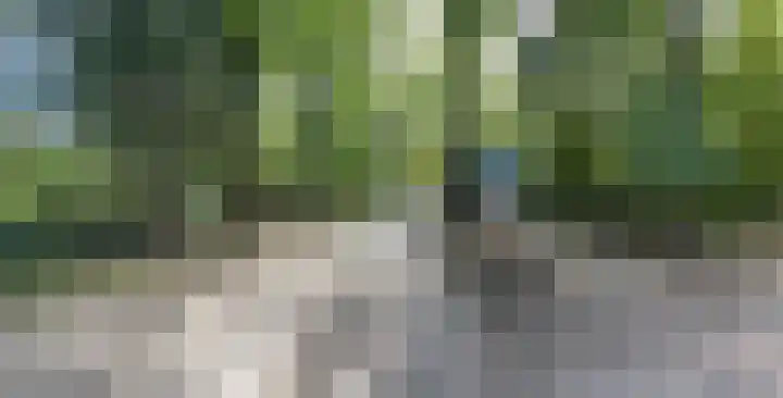 Oude Postweg 8 Austerlitz thumbnail 7