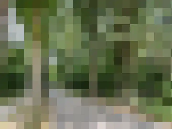 Oude Postweg 8 Austerlitz thumbnail 8