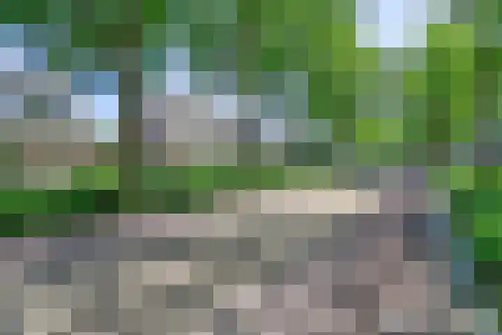 Oude Provincialeweg 20 Hapert thumbnail 52