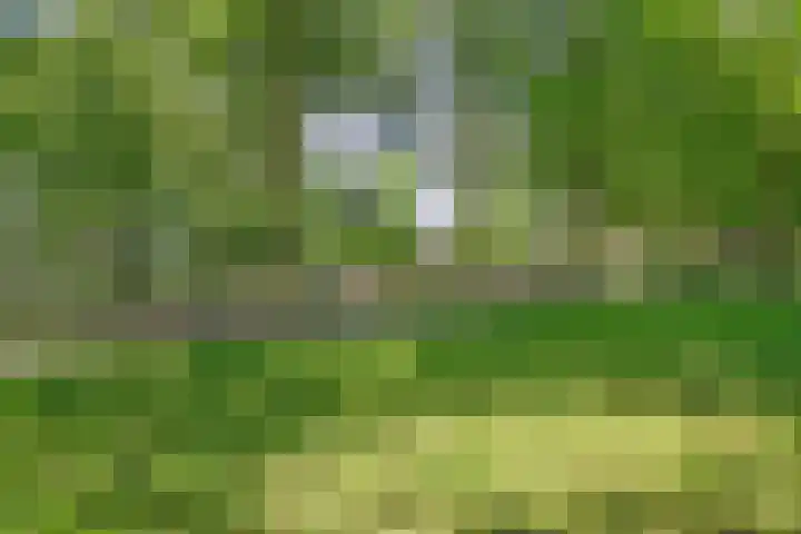 Oude Provincialeweg 20 Hapert thumbnail 54