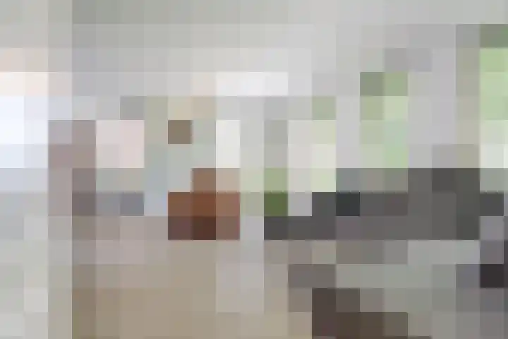 Oude Provincialeweg 20 Hapert thumbnail 6