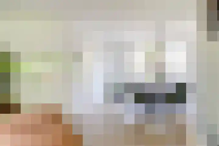 Oude Provincialeweg 20 Hapert thumbnail 9