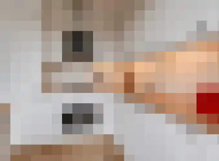 Oude Pyramide 57 Wijk bij Duurstede thumbnail 15