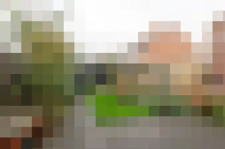 Oude Pyramide 57 Wijk bij Duurstede thumbnail 36