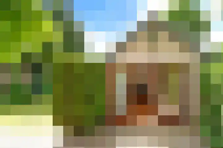 Oude Renbaan 23 Blaricum thumbnail 16