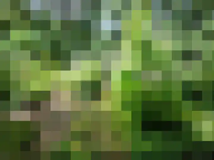 Oude Rielsebaan 187 Tilburg thumbnail 11