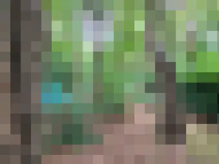 Oude Rielsebaan 187 Tilburg thumbnail 15