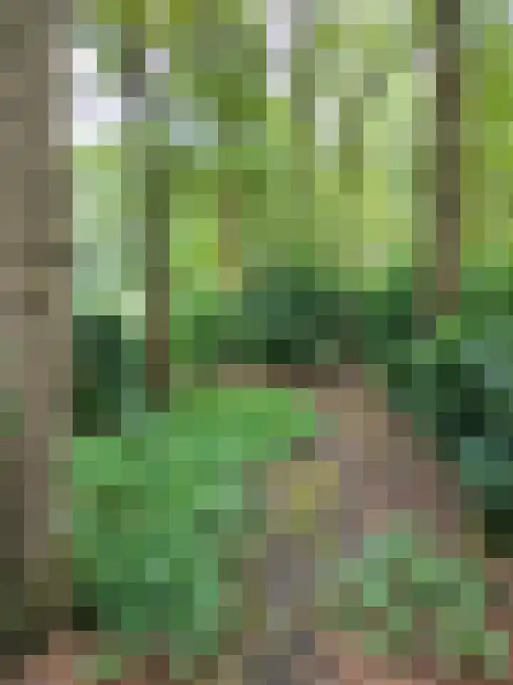 Oude Rielsebaan 187 Tilburg thumbnail 16