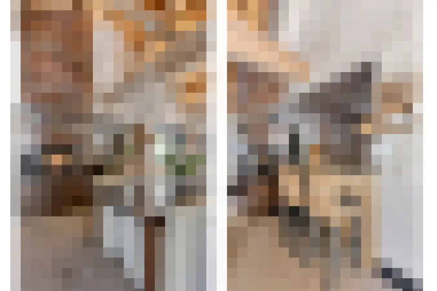 Oude Rielseweg 1 Tilburg thumbnail 27
