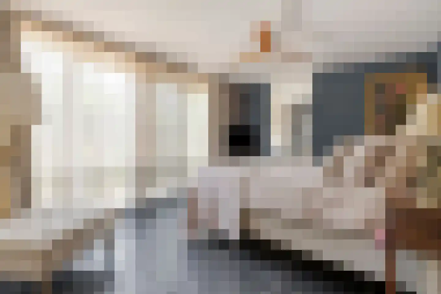 Oude Rielseweg 1 Tilburg thumbnail 33