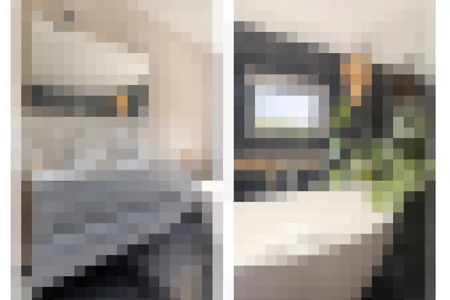 Oude Rielseweg 1 Tilburg thumbnail 36