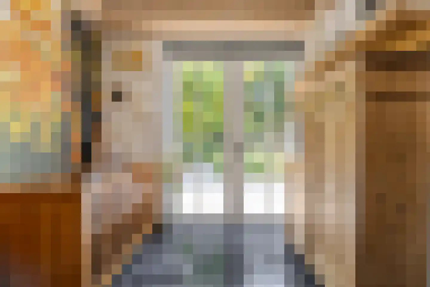 Oude Rielseweg 1 Tilburg thumbnail 42