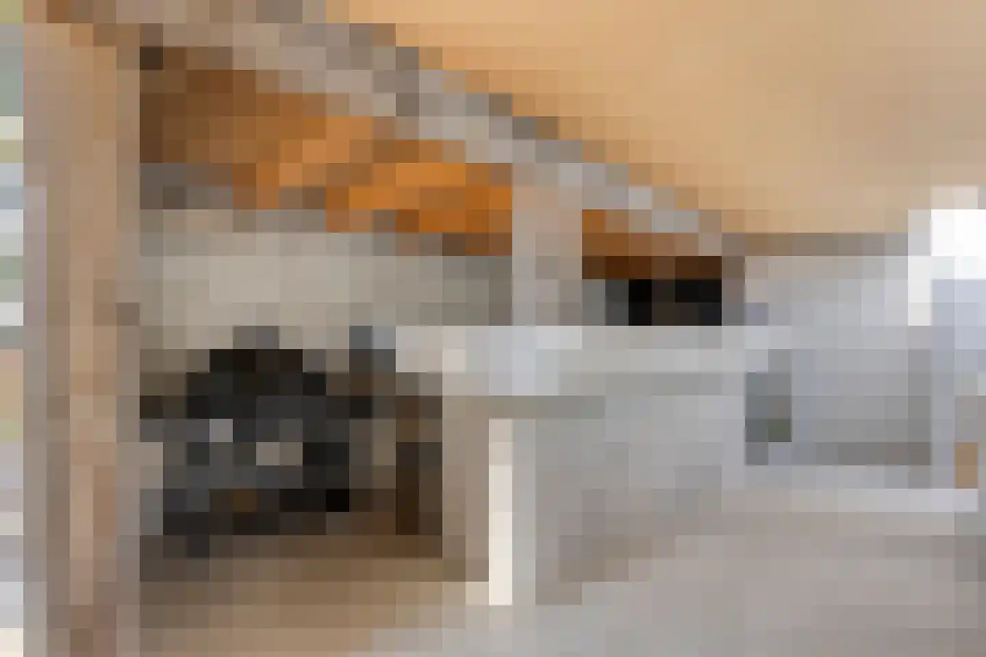 Oude Rielseweg 1 Tilburg thumbnail 52